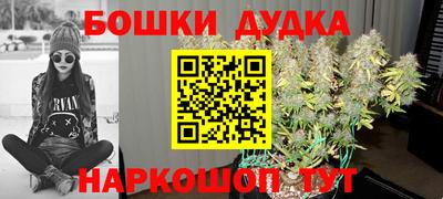 PSILOCYBIN Балаково