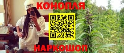 PSILOCYBIN Балаково